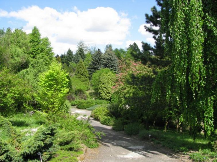 Ogród Botaniczny - Dział Dendrologii (Arboretum)