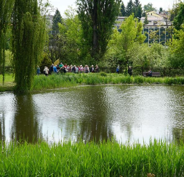 Dzień Ważki w Ogrodzie Botanicznym UMCS - fotorelacja