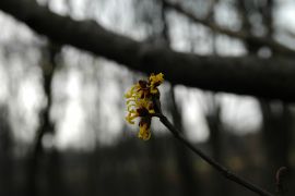 DSC_0147.JPG