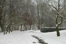 DSC_0001.JPG
