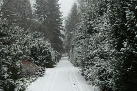 DSC_0004.JPG